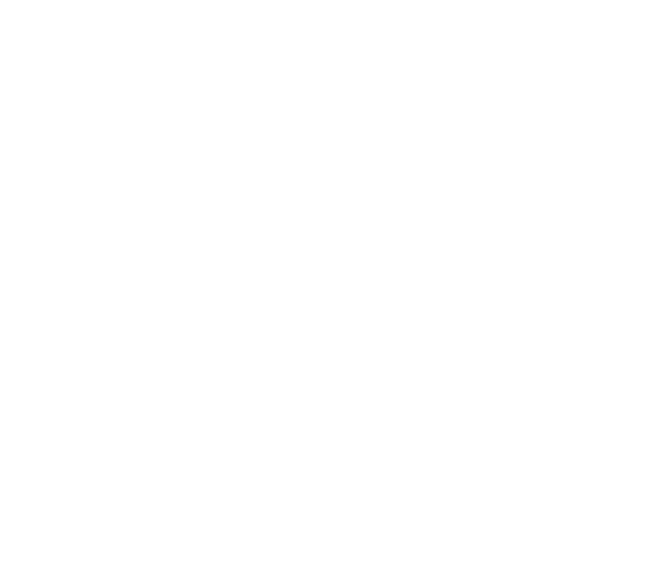 Future100 logo